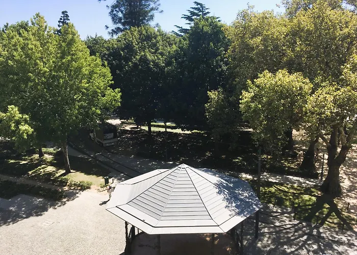 Wine بيت شباب *